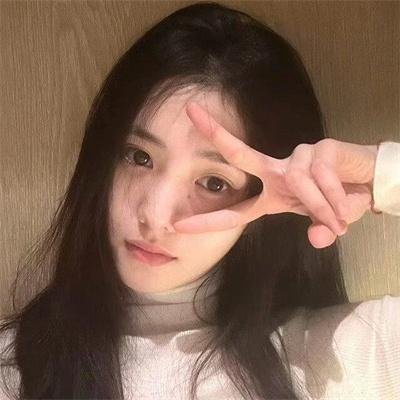 鲨机年华